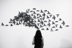 NIC_108_240730-18